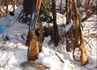 Охотникам Тюменской области не выдают лицензии