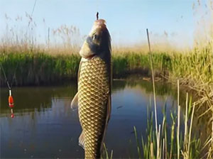 Ловля карася ранней весной: советы и рекомендации