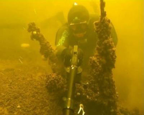 Как правильно выбрать ружье для подводной охоты