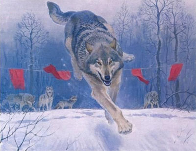 О волках и охоте на них